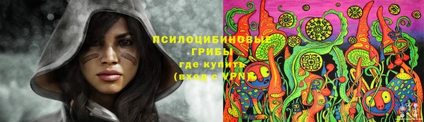 ALPHA-PVP Няндома