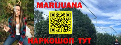 твердый Бийск