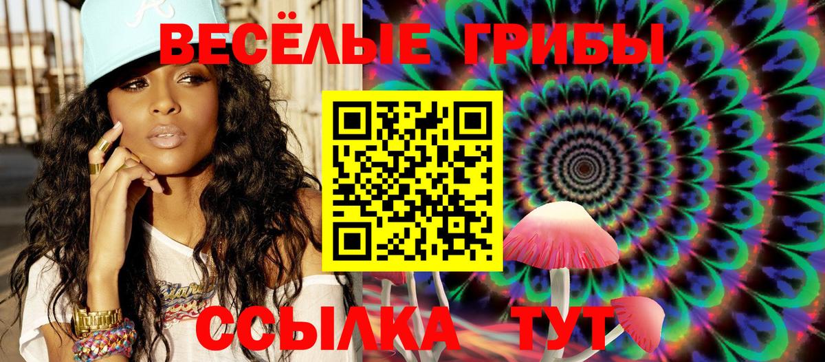 Галлюциногенные грибы Psilocybine cubensis Ярцево