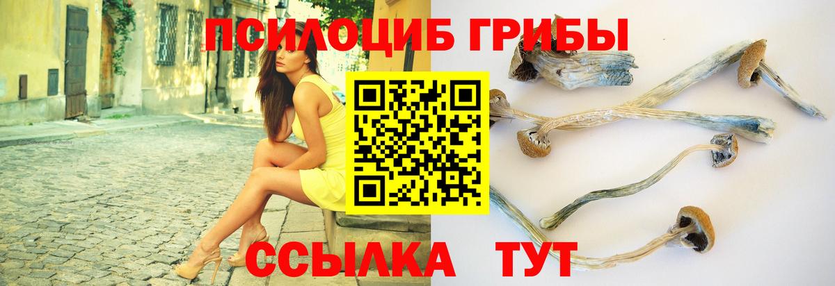 Псилоцибиновые грибы Psilocybe  Ярцево 