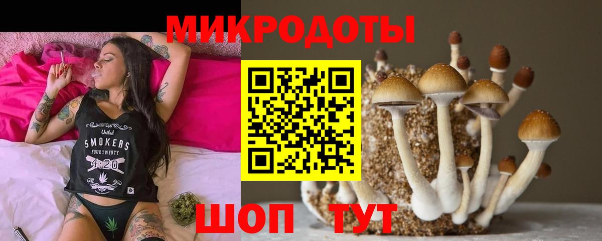 Галлюциногенные грибы Psilocybine cubensis  Галлюциногенные грибы GOLDEN TEACHER  Вход с VPN  Ярцево 